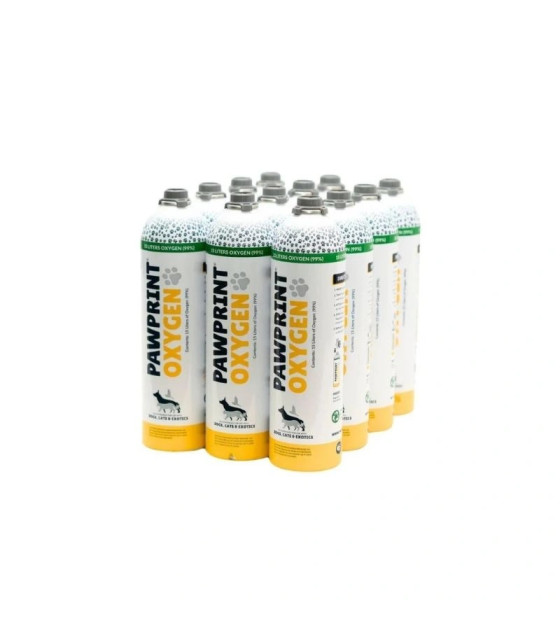 Pet Oxygen Canister